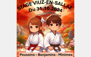 STAGE VIUZ-EN-SALLAZ - Poussins/Benjamins/Minimes