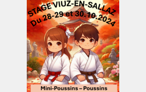 STAGE VIUZ-EN-SALLAZ - Mini-Poussins/Poussins