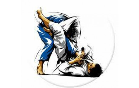 JJB - Jiu-jitsu brésilien